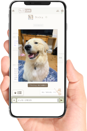 Re:Linkに登録したペット情報をAIが紹介する画面